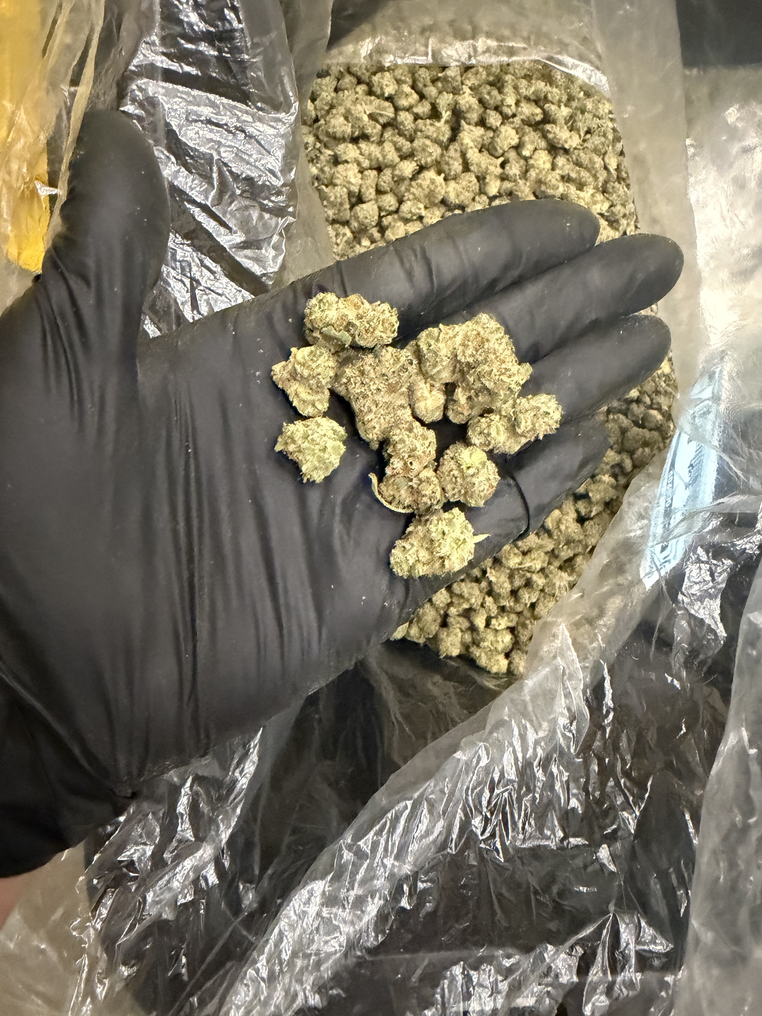 OG Kush Breath