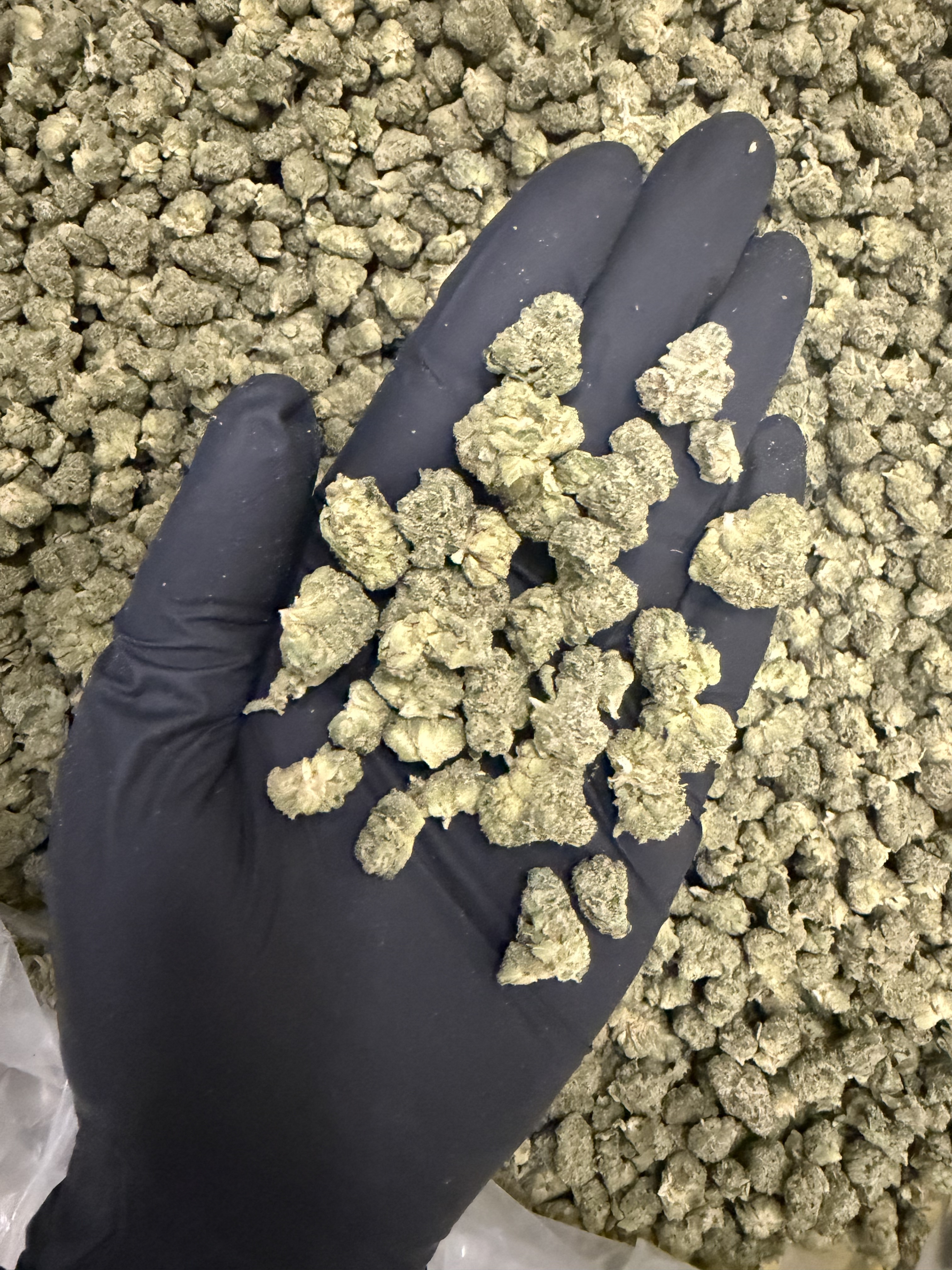 Poison OG