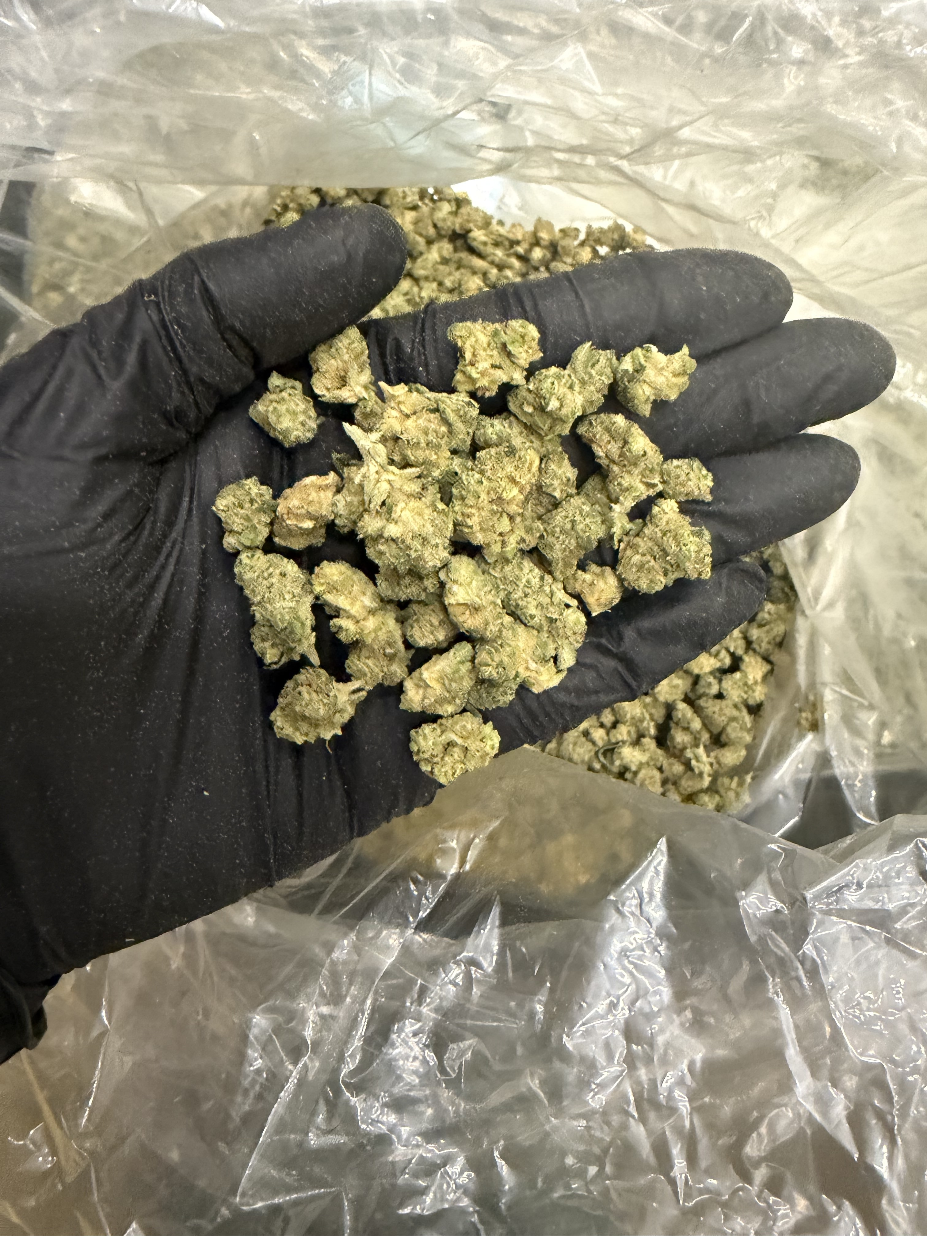 Sour Patch Diesel