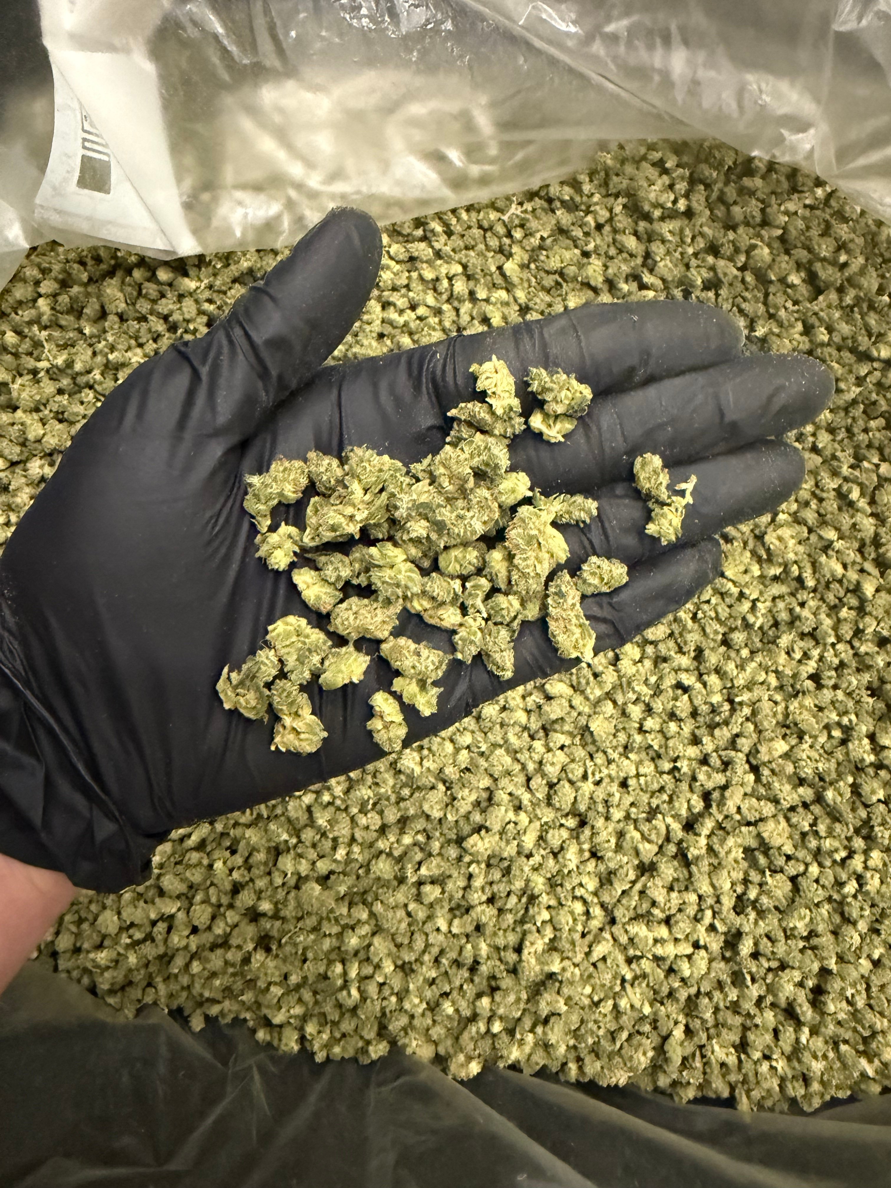 Triangle Kush
