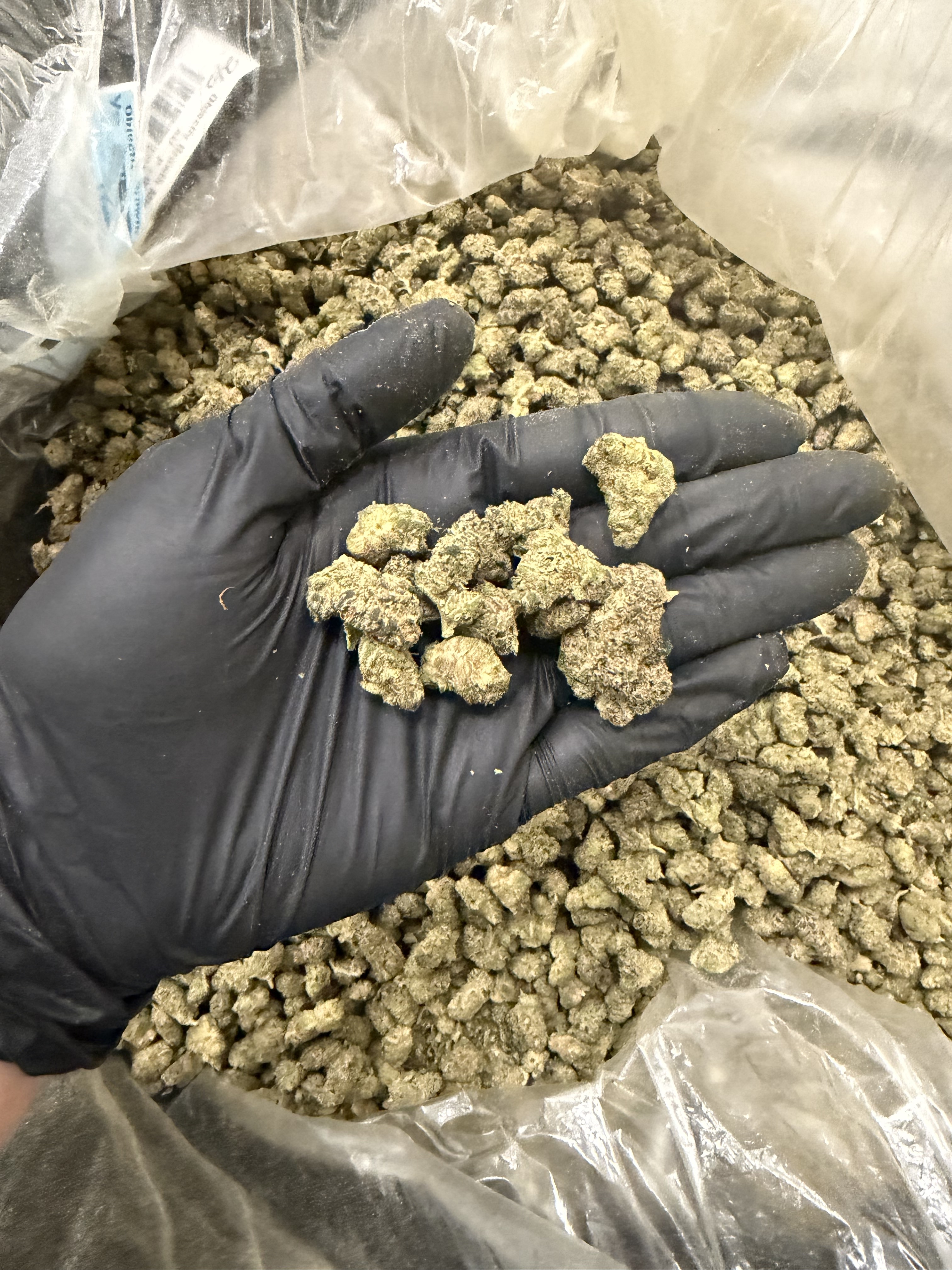 Tropicana Cookies