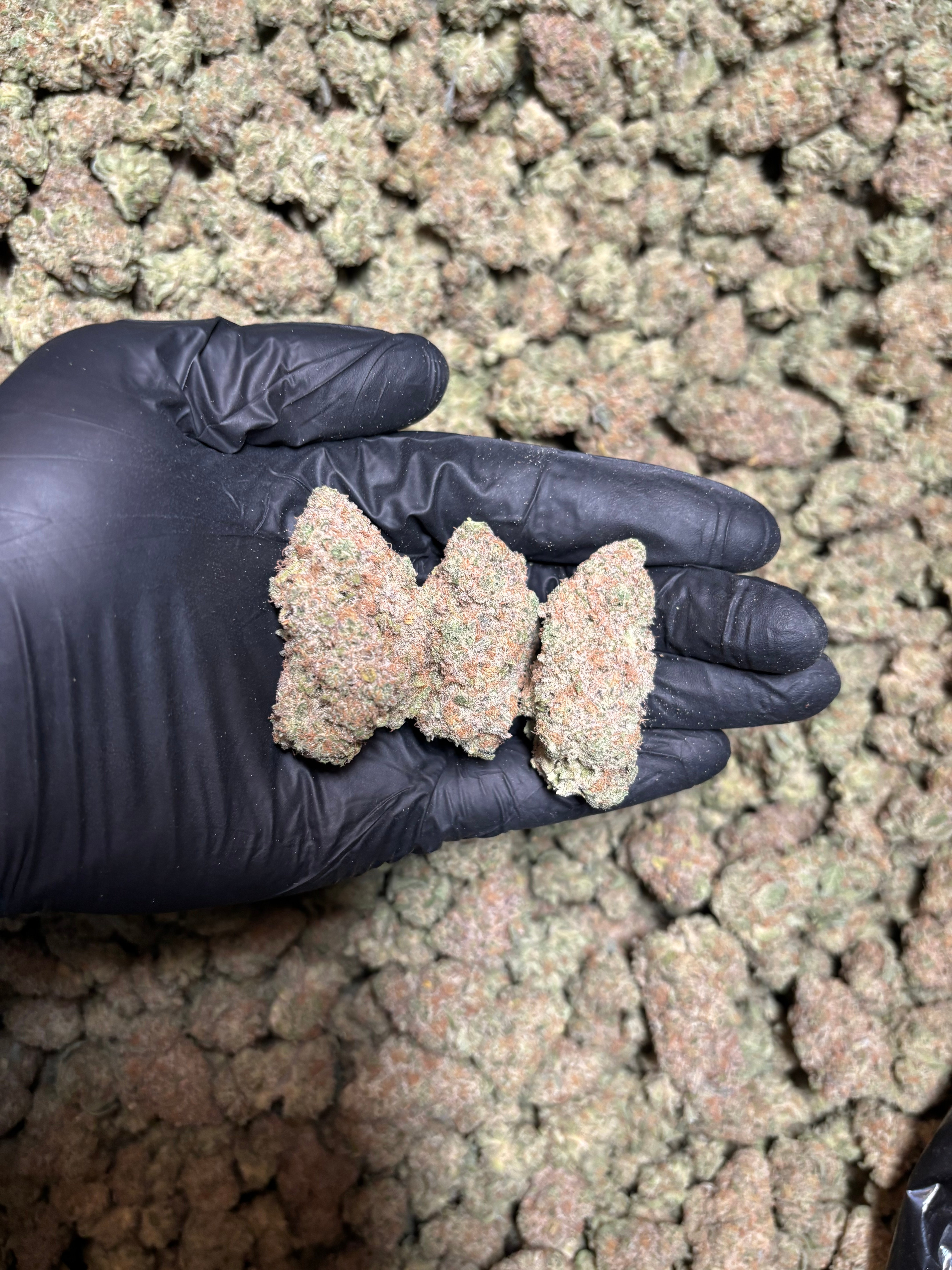 Berry Crumble