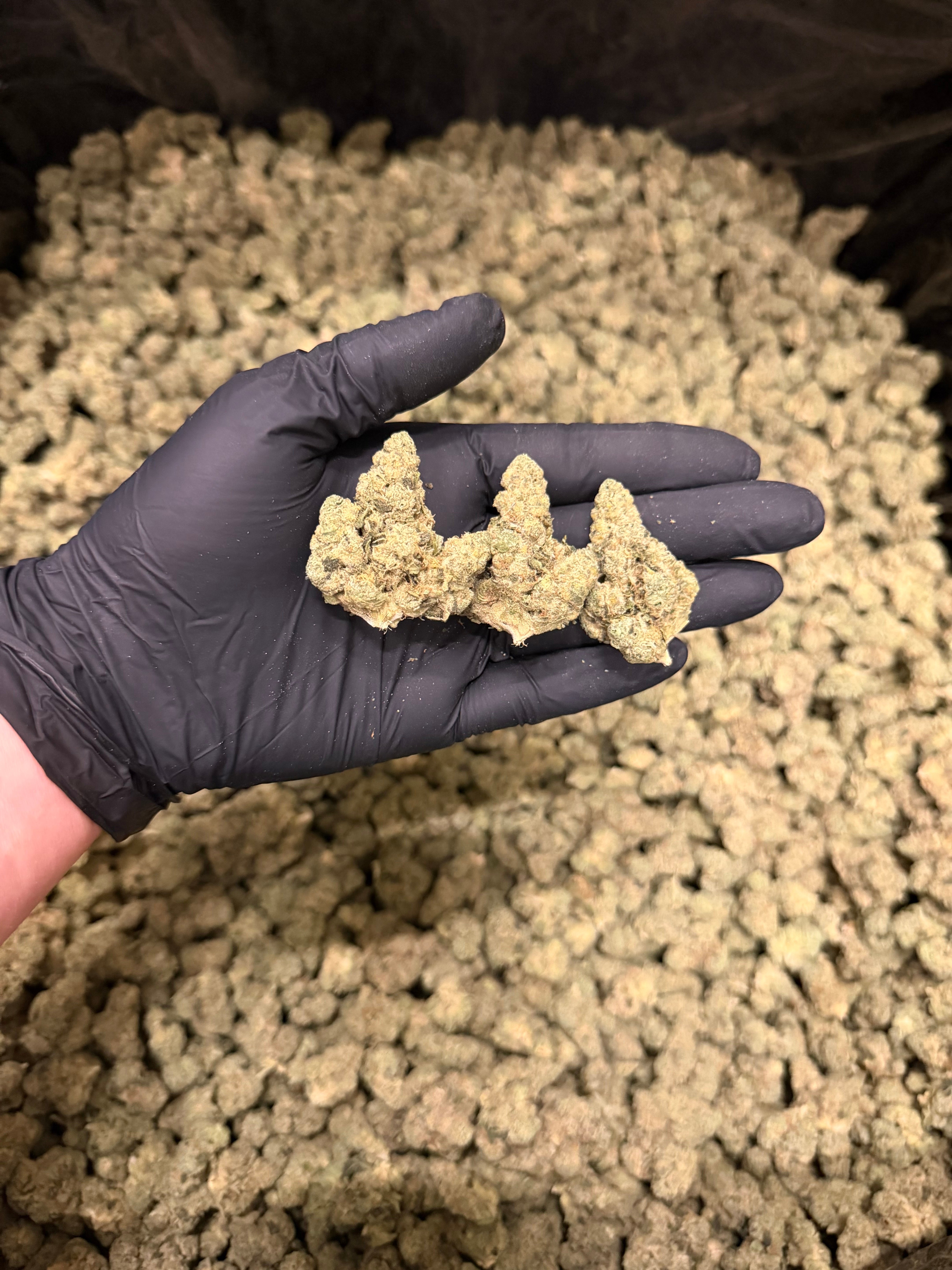 Green Funk