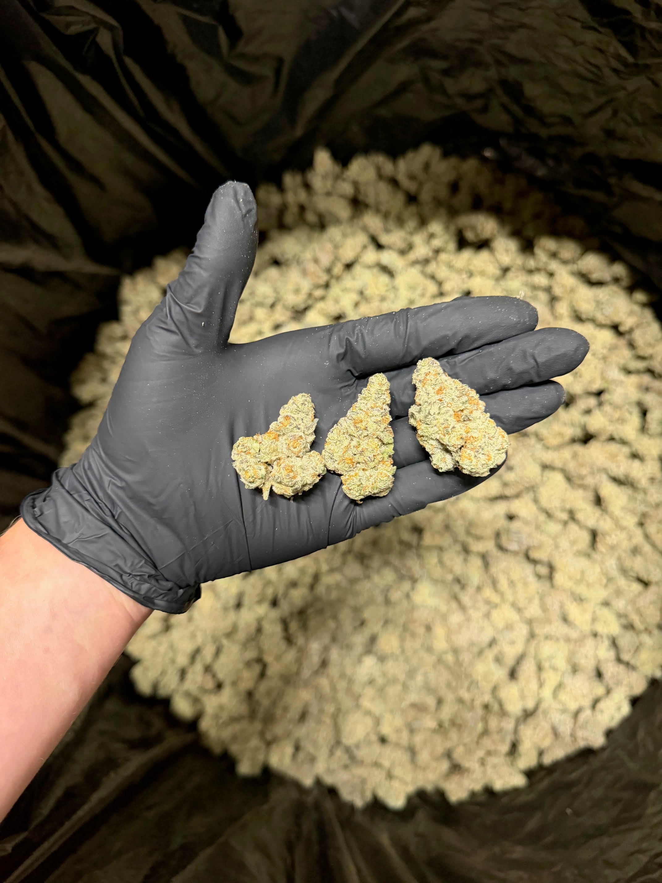 Killuminati OG
