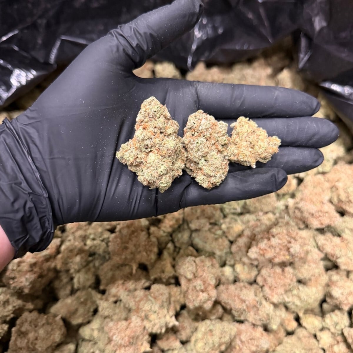 Sour Patch Diesel