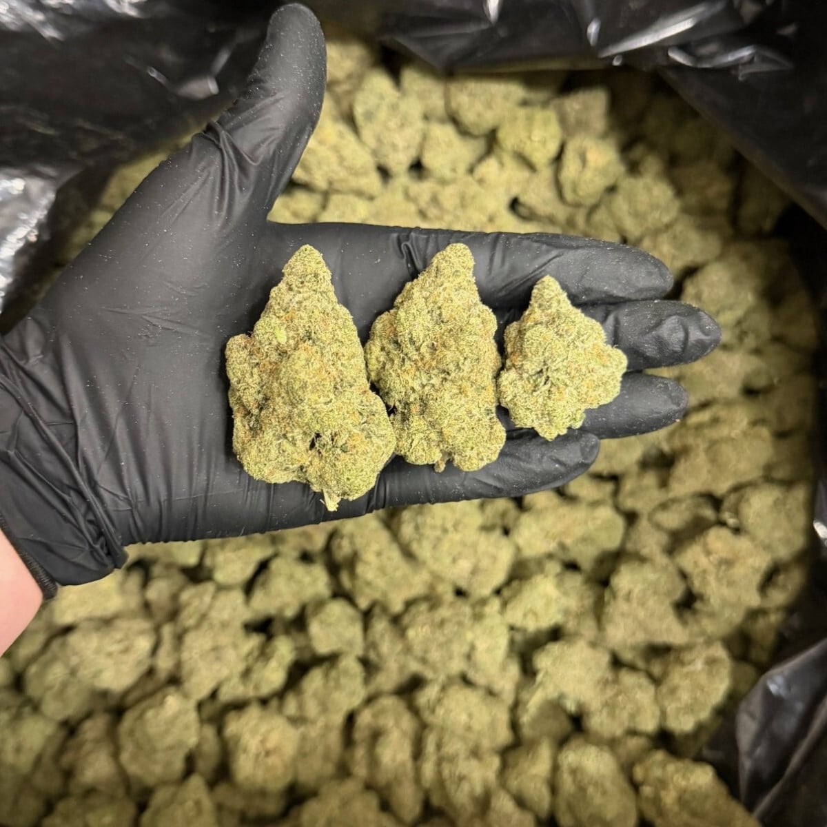 Super Glue